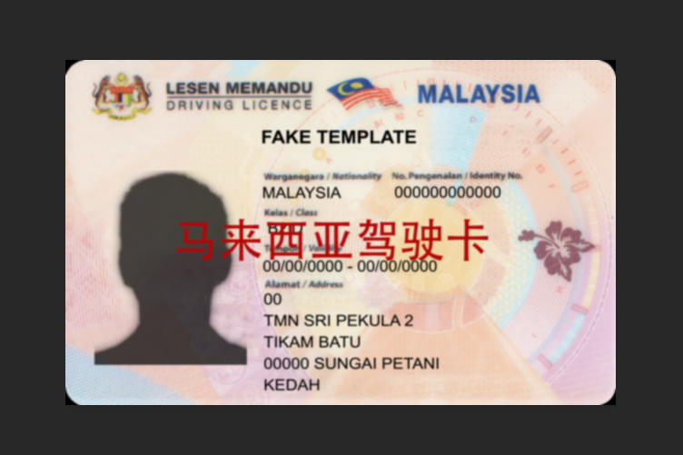 正面展示图.png 马来西亚驾驶证 亚洲