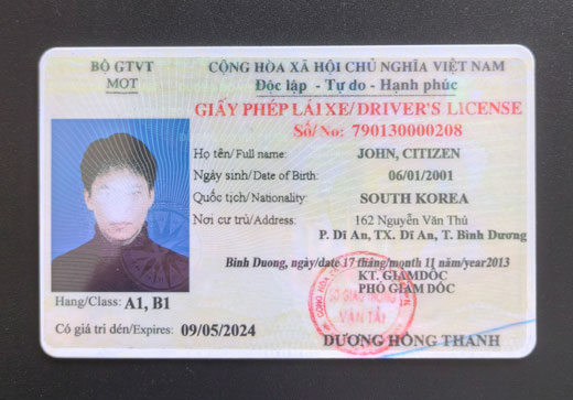 越南驾照驾驶证卡